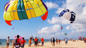2人獨立成團,單車單導,國四酒店,純玩無購物,海豚浪漫之旅, green school 森林學校,含散客機票 出發 途牛