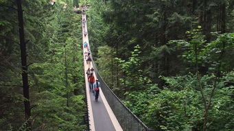 美國東西海岸 加拿大18日游 預售優惠,0小費,拒簽無憂,黃石 大提頓 大峽谷,大瀑布,網紅吊橋,國會山莊入內,雙游船,品美酒,探訪名校 北京 出發 途牛