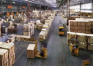 成功賣家丨一年完成轉型,成就3 5倍銷量增速,你是否也想擁有開掛式的體驗