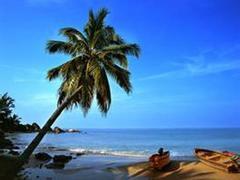 旅總國(guó)際旅行社 海南正規(guī)旅行社的卓越之選