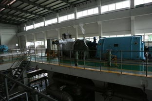 花4.8個(gè)億，厚街生態(tài)景觀廠明年年底迎國(guó)際游客