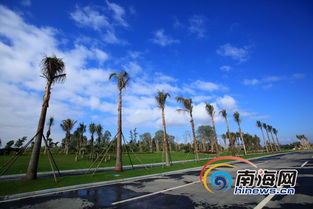 國際旅游島先行試驗區主干道安置區預計年底完工