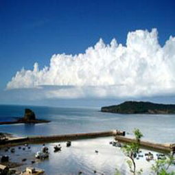 上海出發探秘白沙湖 上海錦軒國際旅行社的卓越服務體驗