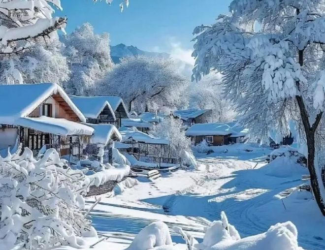 哈爾濱5天4晚純玩團(tuán)價(jià)格解析與優(yōu)質(zhì)旅行社推薦